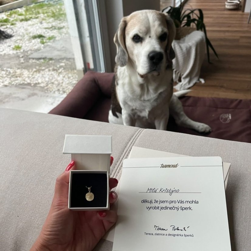 Zlatý otisk mazlíčka